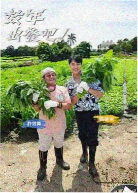 提问的一百种方式综艺拼贴封面