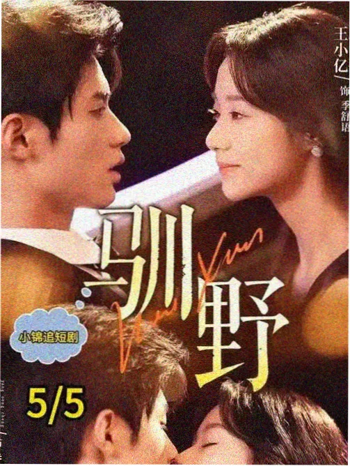 回声电台剧集拼贴封面